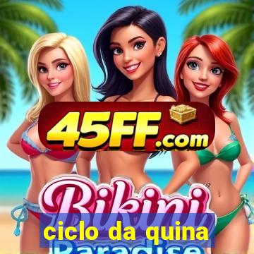 ciclo da quina